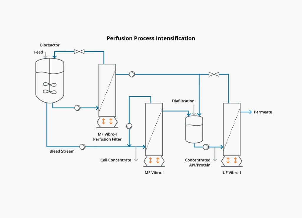 Bioprocess diagram showing how Vibro Membrane Filtration (VMF) can intensify perfusion processes