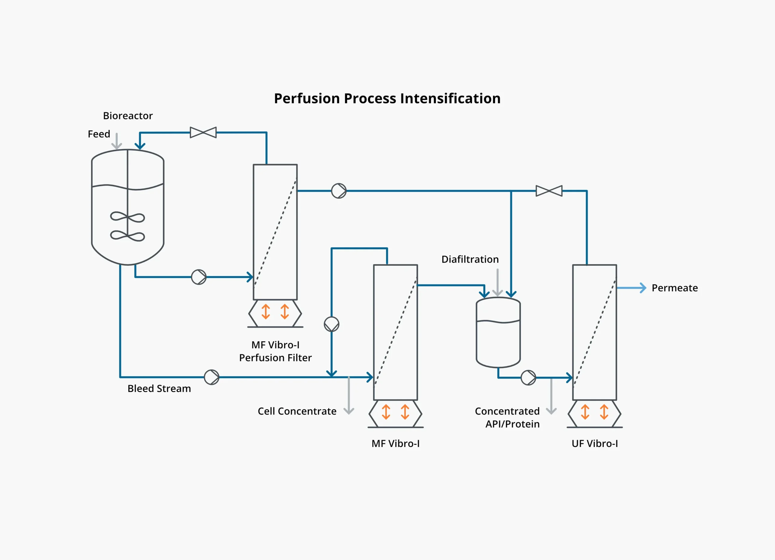 Bioprocess diagram showing how Vibro Membrane Filtration (VMF) can intensify perfusion processes