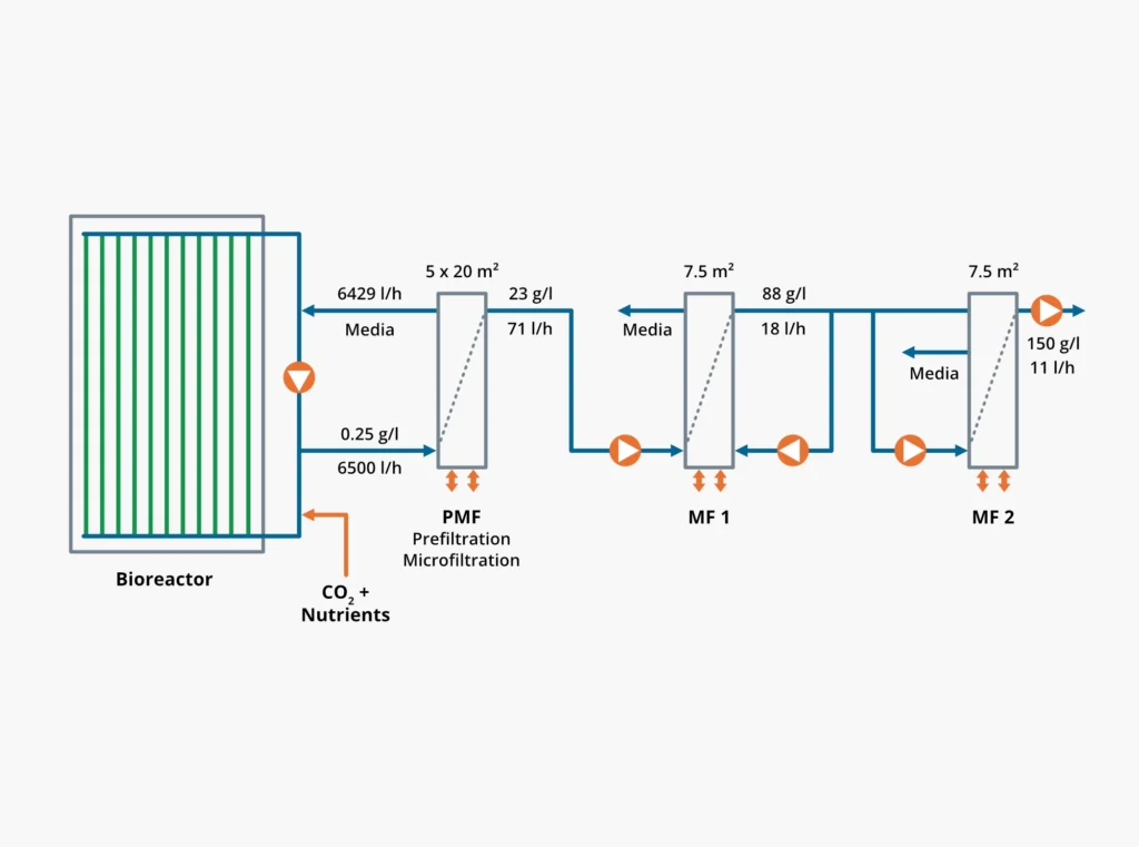 Example integration of a Vibro system in an algae harvesting process.