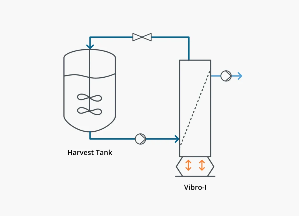 Bioprocess diagram showing the concentration of cells like E. coli in a single step using Vibro Membrane Filtration (VMF).