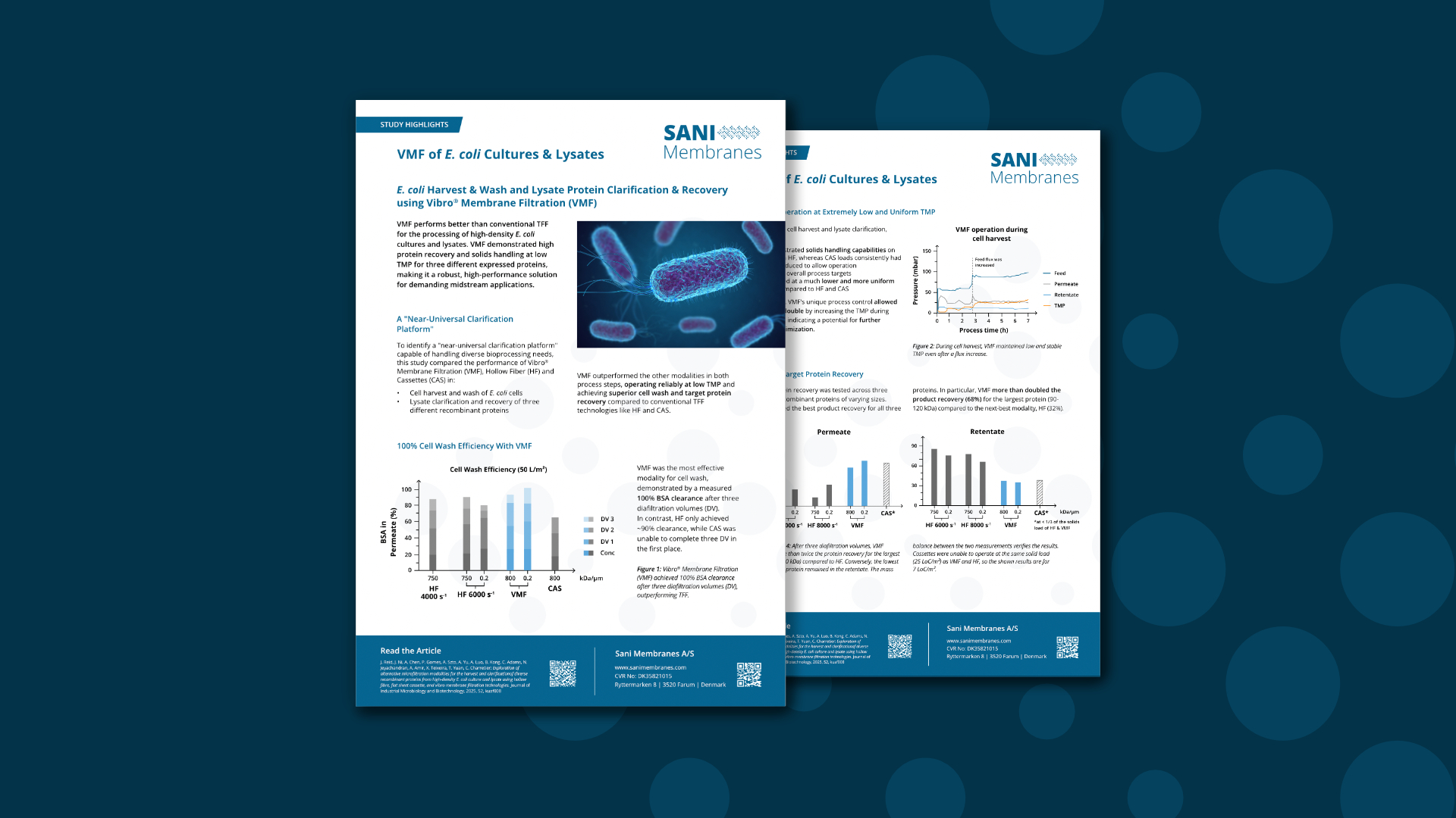 Factsheet about the VMF of E. coli cultures and lysates