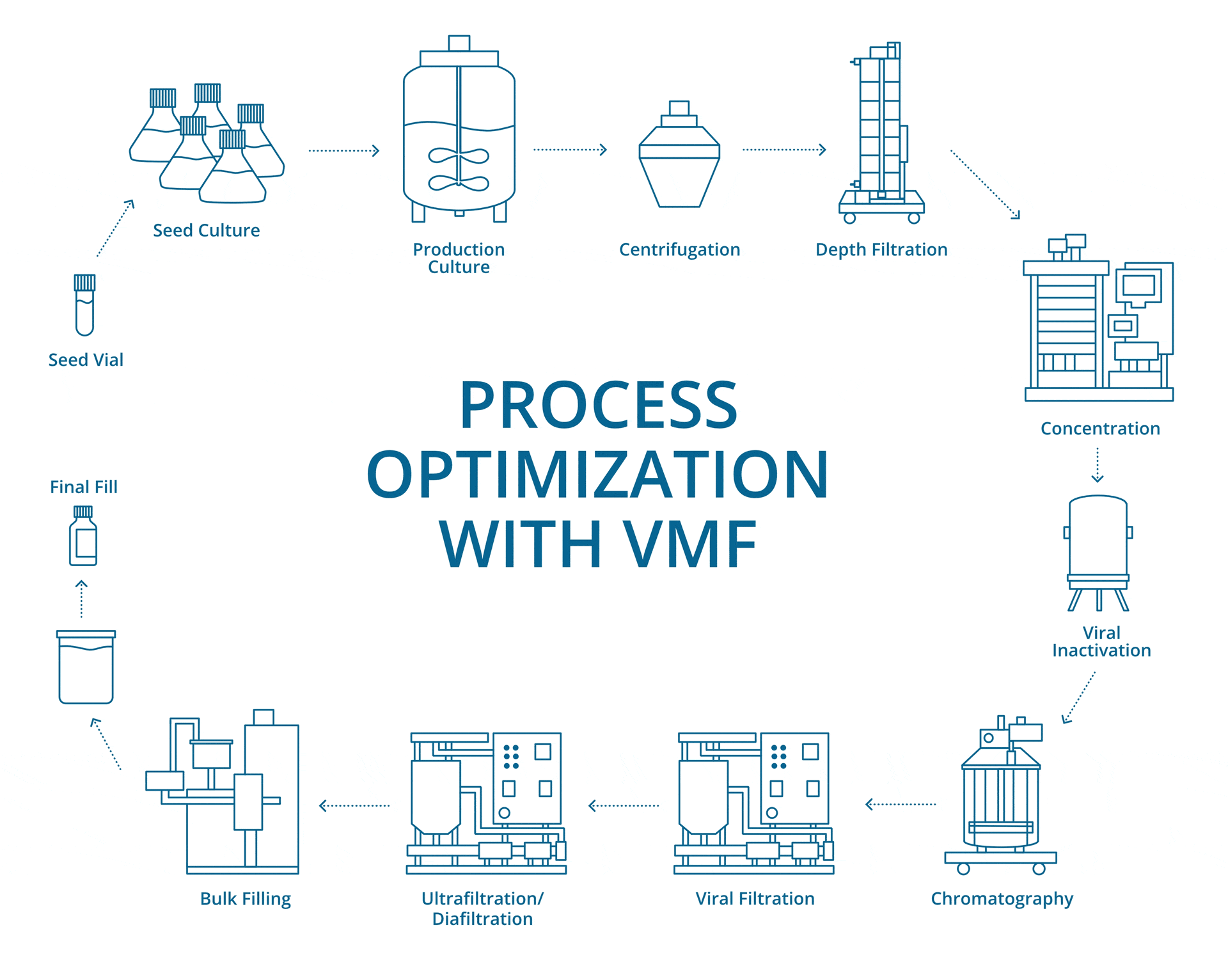 Visualization of a typical bioprocess showing how VMF can replace and intensify DSP.