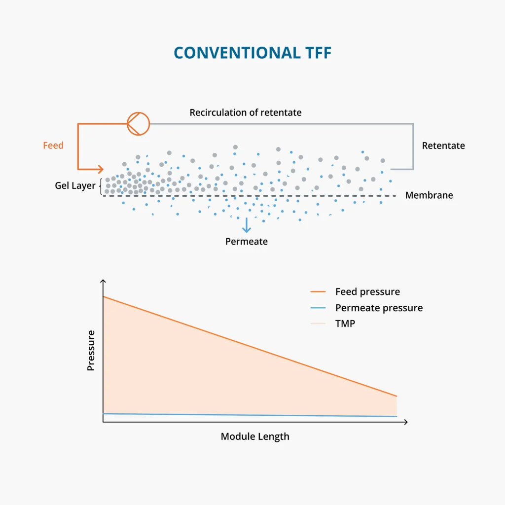 Tangential Flow Filtration (TFF) schematic showing how the pressurized feed creates inconsistent filtration conditions across the membrane and causes a pressure drop – in contrast to VMF, where TMP is uniform and filtration performance is optimal across the entire membrane.