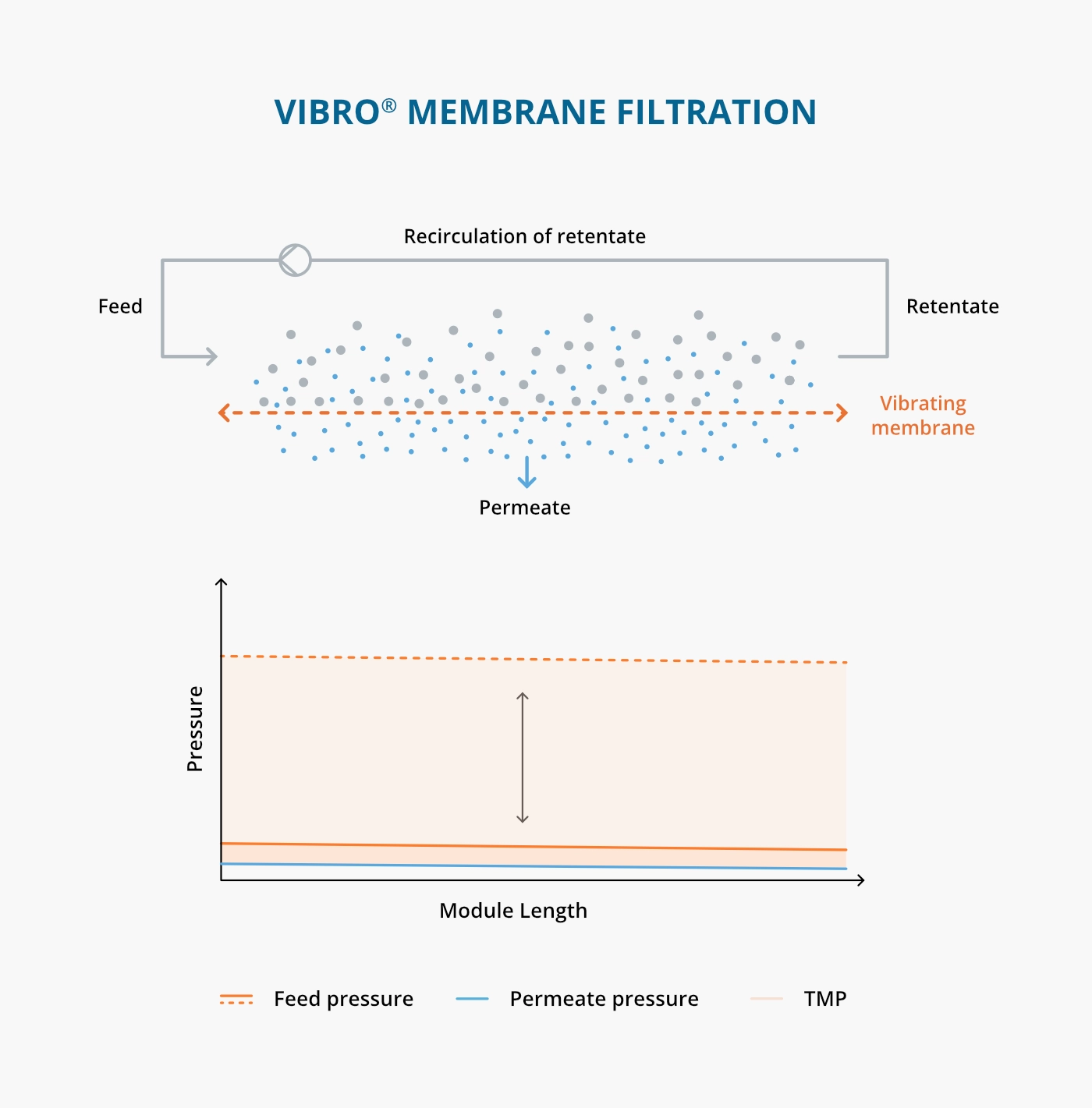 Vibro Membrane Filtration (VMF) schematic showing how the vibrating membrane creates optimal filtration conditions and a uniform, controllable TMP across the entire membrane – in contrast to conventional TFF, where pressure drops and filtration performance is inconsistent.