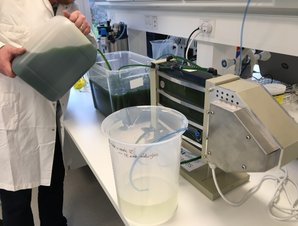 Vibro lab3500 testing with algae