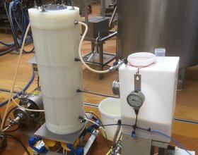 Dairy filtration
