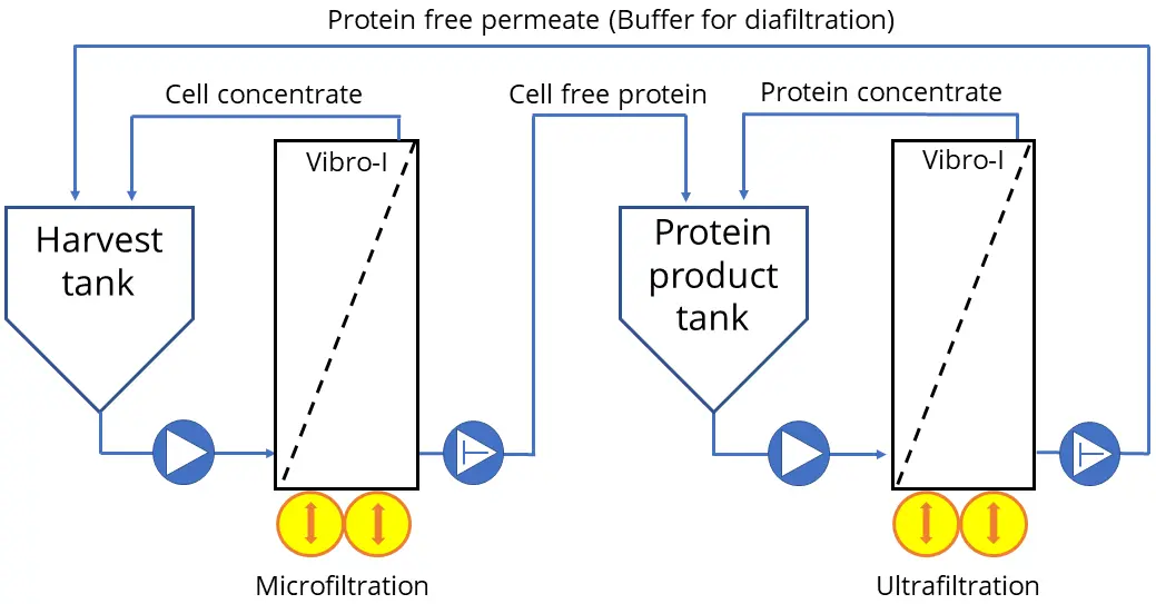 Recovery and concentration of protein