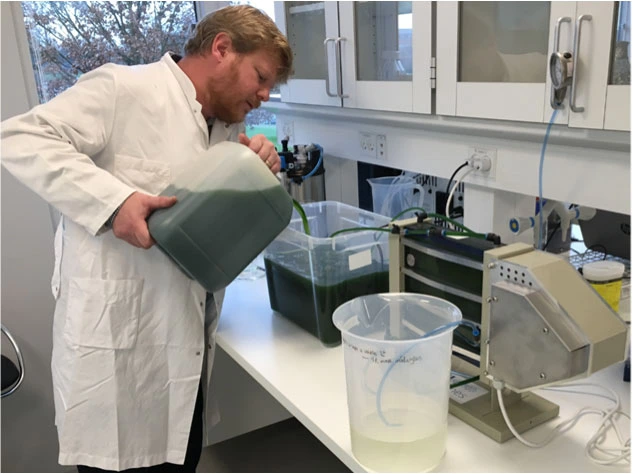 Algae filtration